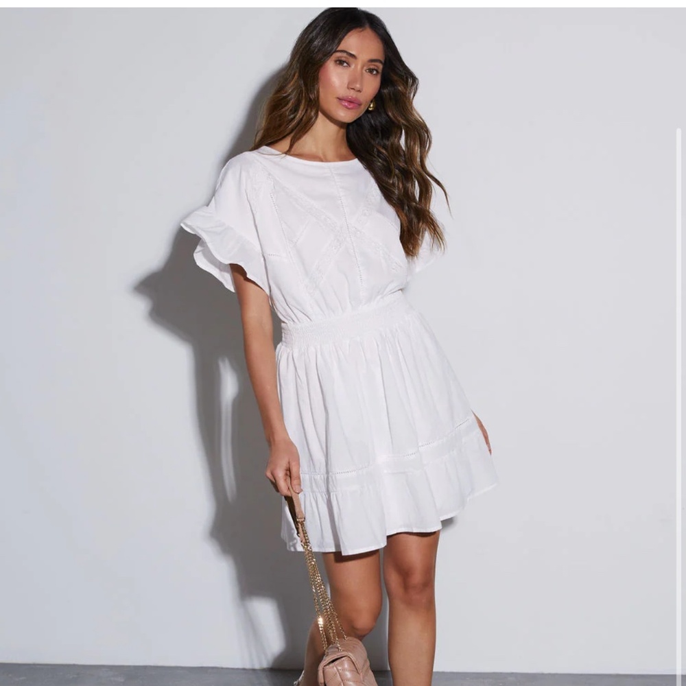 Romance Ruffle Sleeve Mini Dress (L) -NWT
